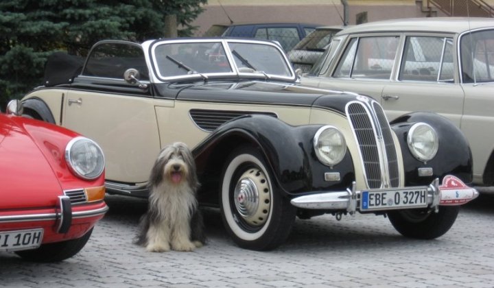 castleclassics2011-070